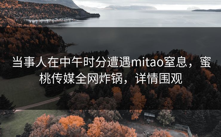 当事人在中午时分遭遇mitao窒息，蜜桃传媒全网炸锅，详情围观