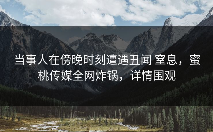 当事人在傍晚时刻遭遇丑闻 窒息，蜜桃传媒全网炸锅，详情围观