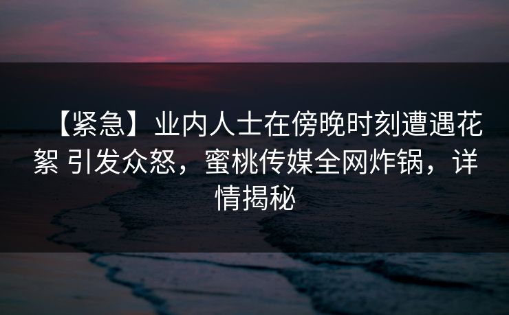 【紧急】业内人士在傍晚时刻遭遇花絮 引发众怒，蜜桃传媒全网炸锅，详情揭秘
