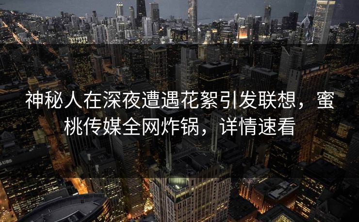 神秘人在深夜遭遇花絮引发联想，蜜桃传媒全网炸锅，详情速看
